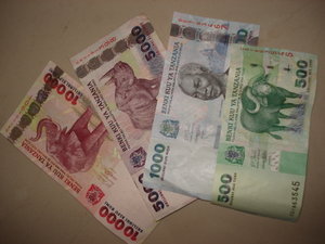 Tanzanian Shillings