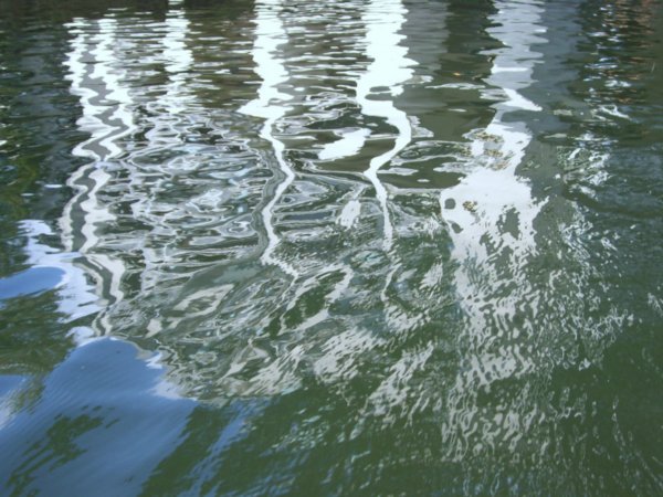 Ripples on the water