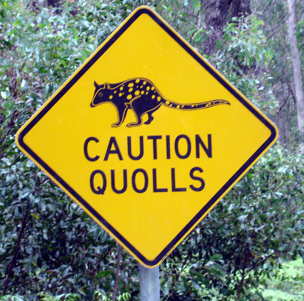 Quoll Sign