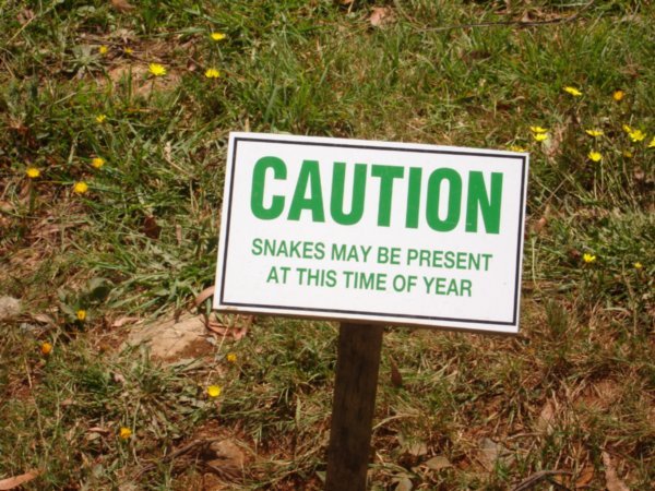 Caution Snakes