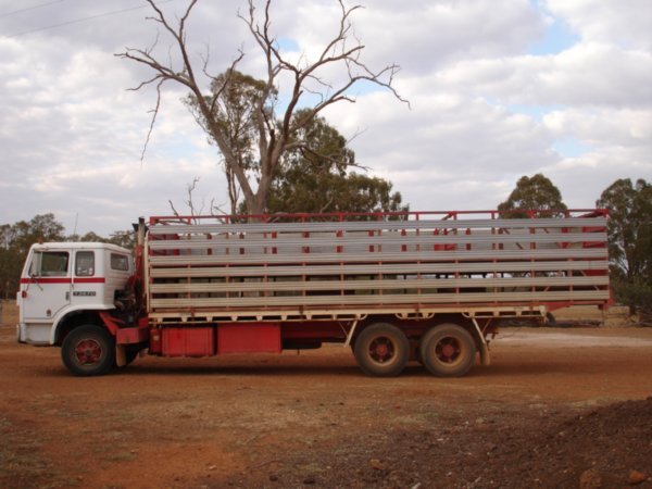 The large sheep transporter