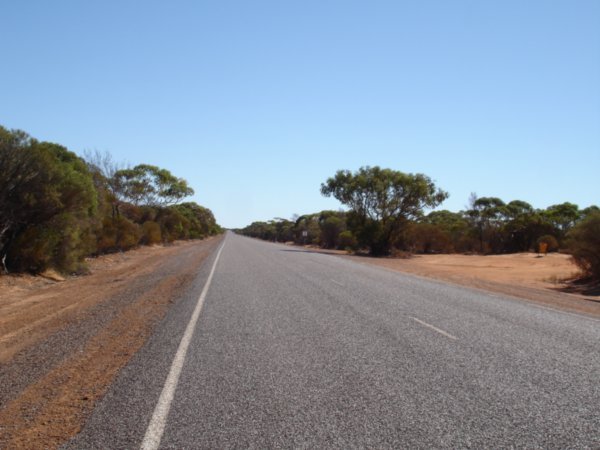 Empty Road Forward