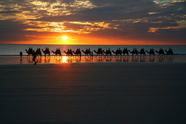Camel Rides at Sunset