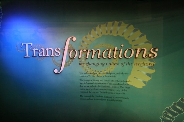 Transformation Exhibition