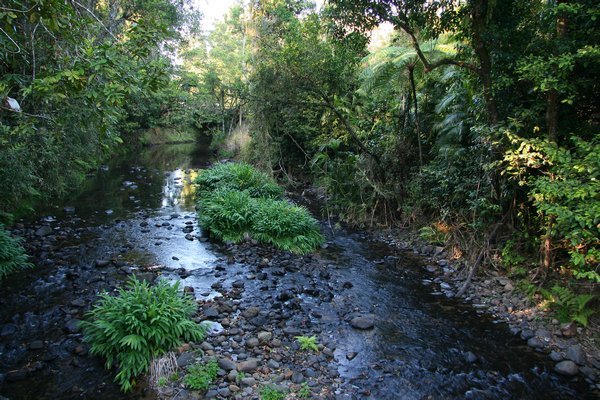 Henrietta Creek