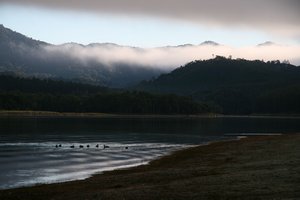Early Morning at lake Tineroo