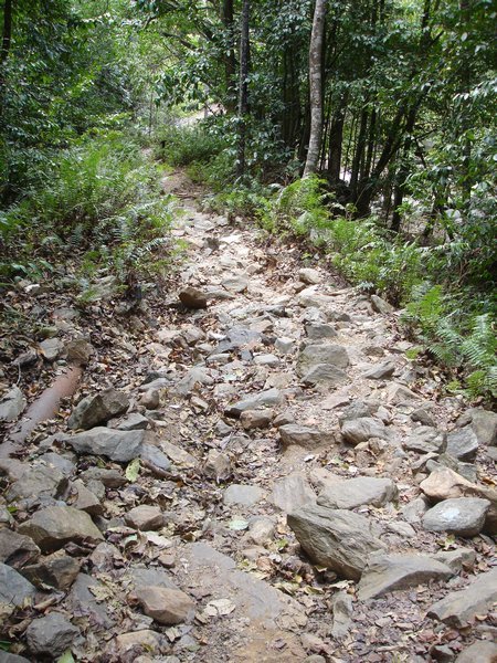 The Trail to the Weir