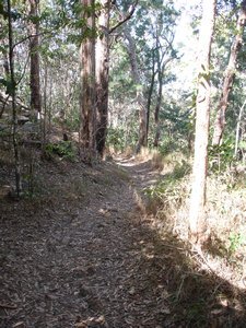 The trail Back