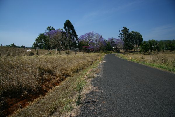 The Dambulla Road