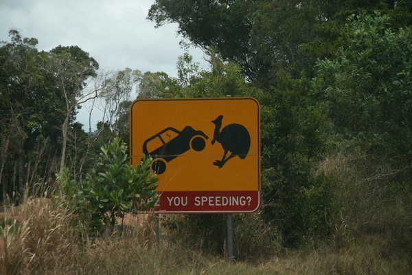 Drive Carefully