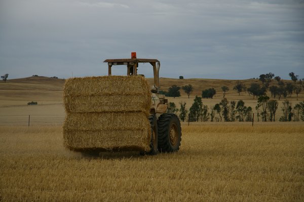 Loading the Straw