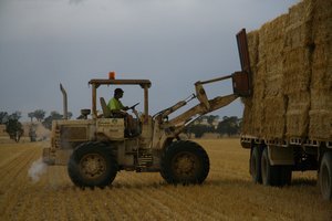 Loading the Bales