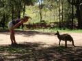 Caroline Telling off a Kangaroo...