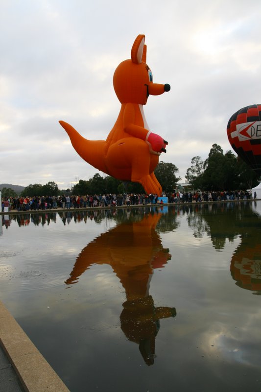 Kangaroo Balloon