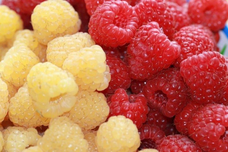 Yellow & Red Rasberries