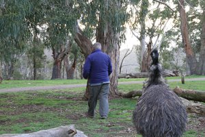 Andy's Emu Mate