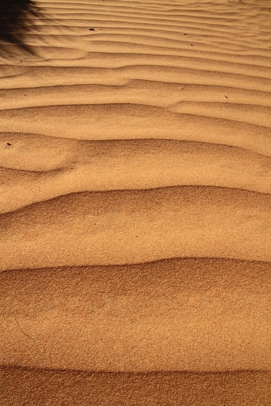 Patterns in the Sand