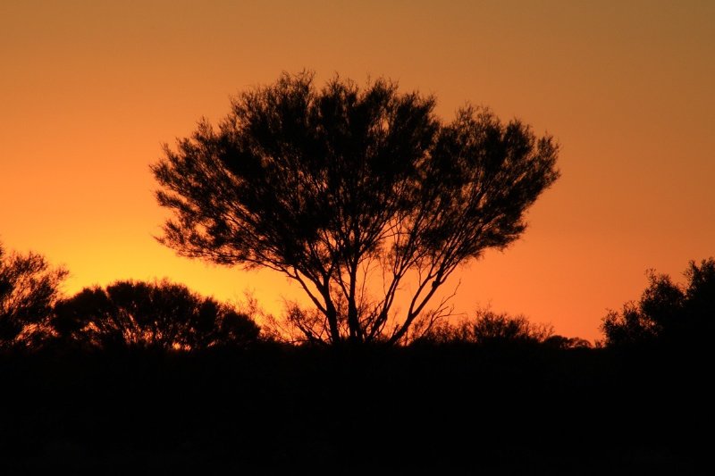 Sunset at Winduldarra