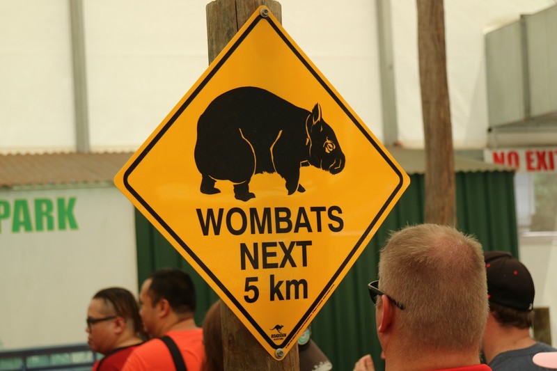 No Wombats in WA, only in the Zoo