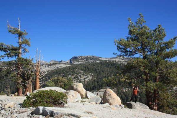 Loving Yosemite