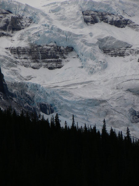 Glaicer on the Icefield parkway