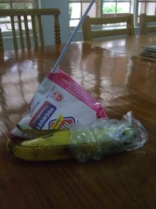 Yogurt in a Bag