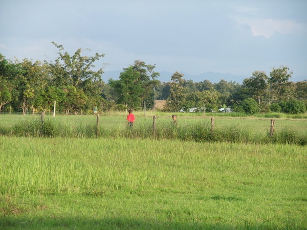 Fields next to the PC