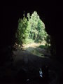 Other entrance of cave - swifts and bats change morning and night