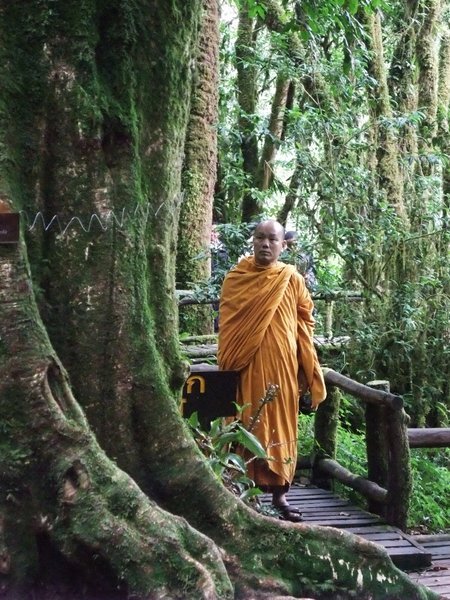 Monk on Angka Trail