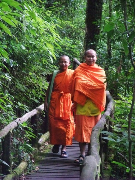 More monks walking