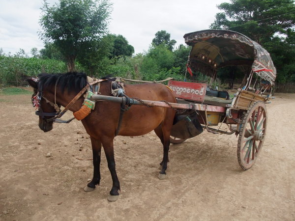 Our horse and cart around Inwa