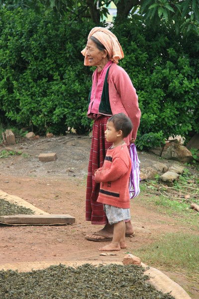 Drying tea in each village and house