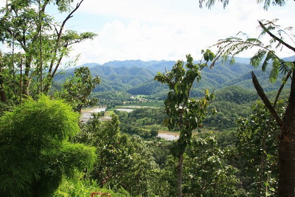 View on the other side of Doi Kong