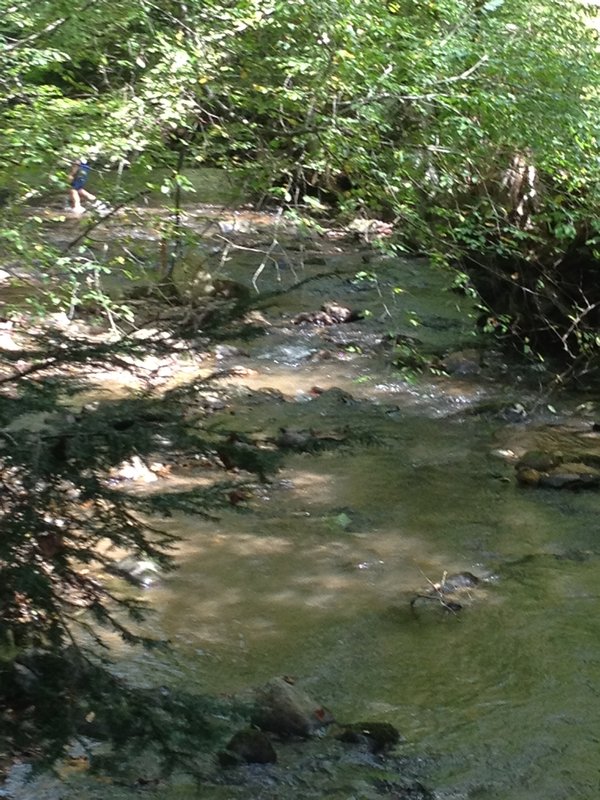 Bella's creek