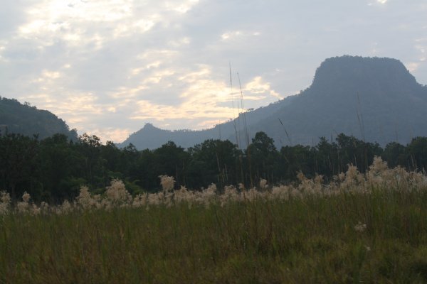 the grasslands inside the reserve