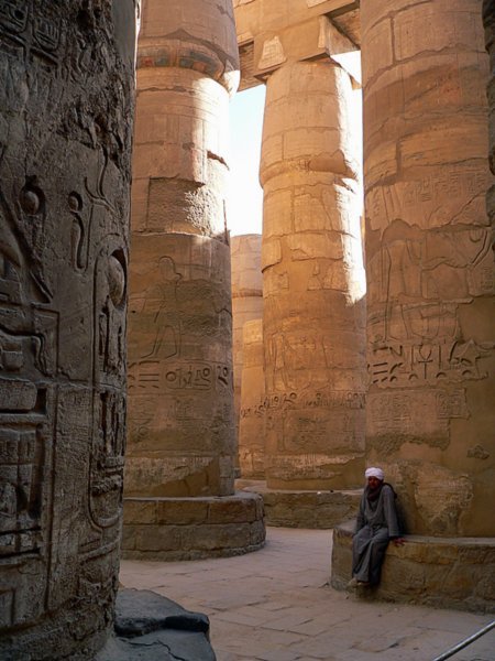 huge papyrus columns