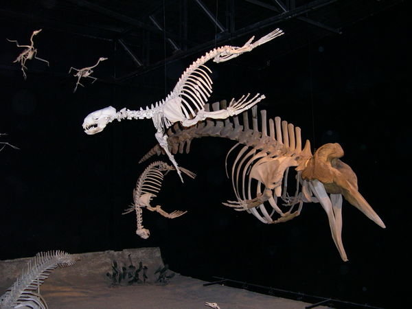 Trelew Dinosaur museum