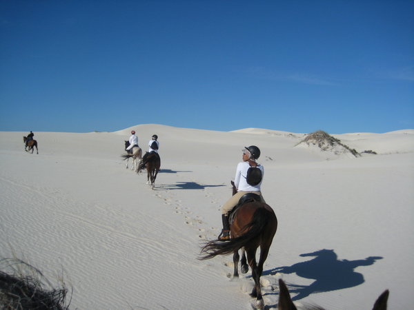Dune riders