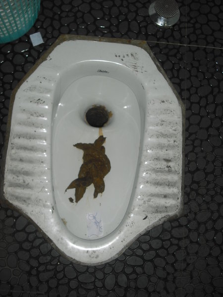 A more disgusting toilet