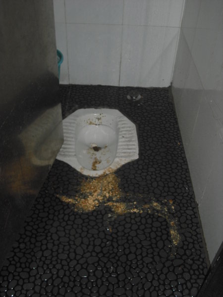 The most disgusting toilet