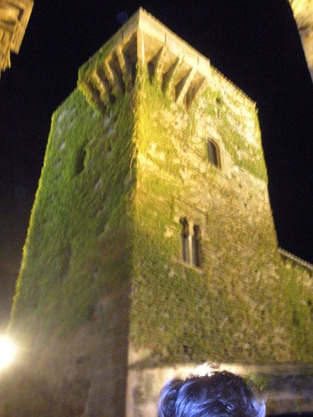 I liked the ivy crawling on this tower