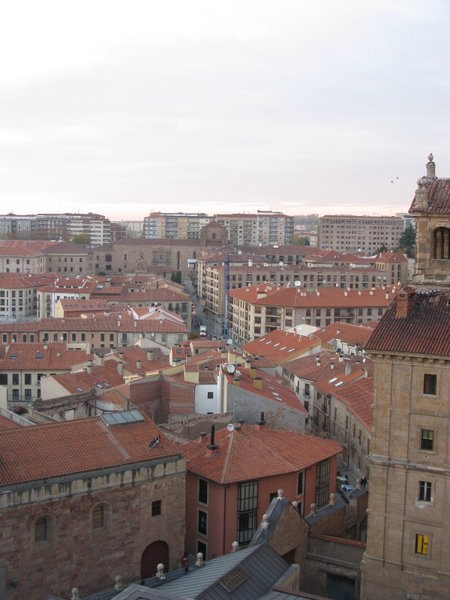 A Rooftop View of the City