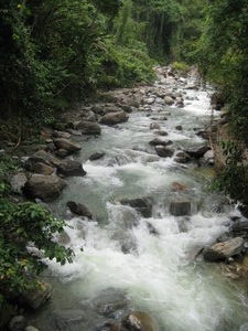 Waterfall in Poring Jungle