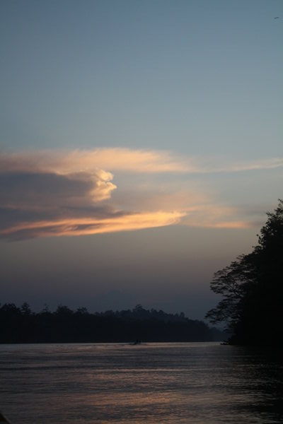Kinabatangan river at sunset