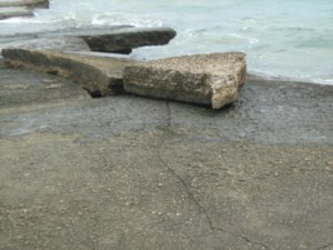 Fossil beach