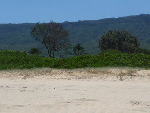 Woolongong beach