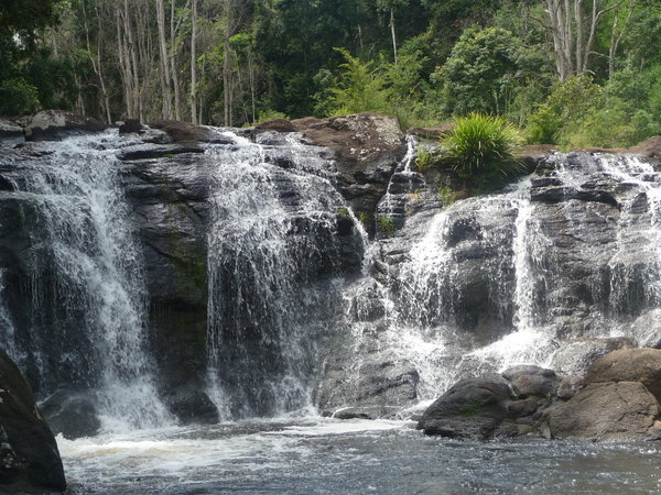 waterfall outside nimbin