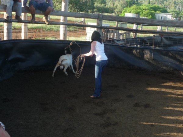 sarah catching a goat