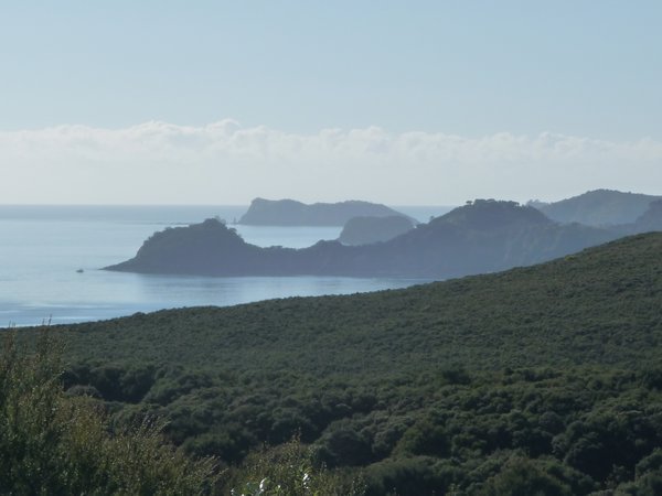 bay of islands