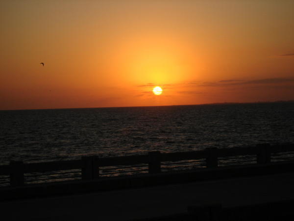 Sunset Tampa Bay